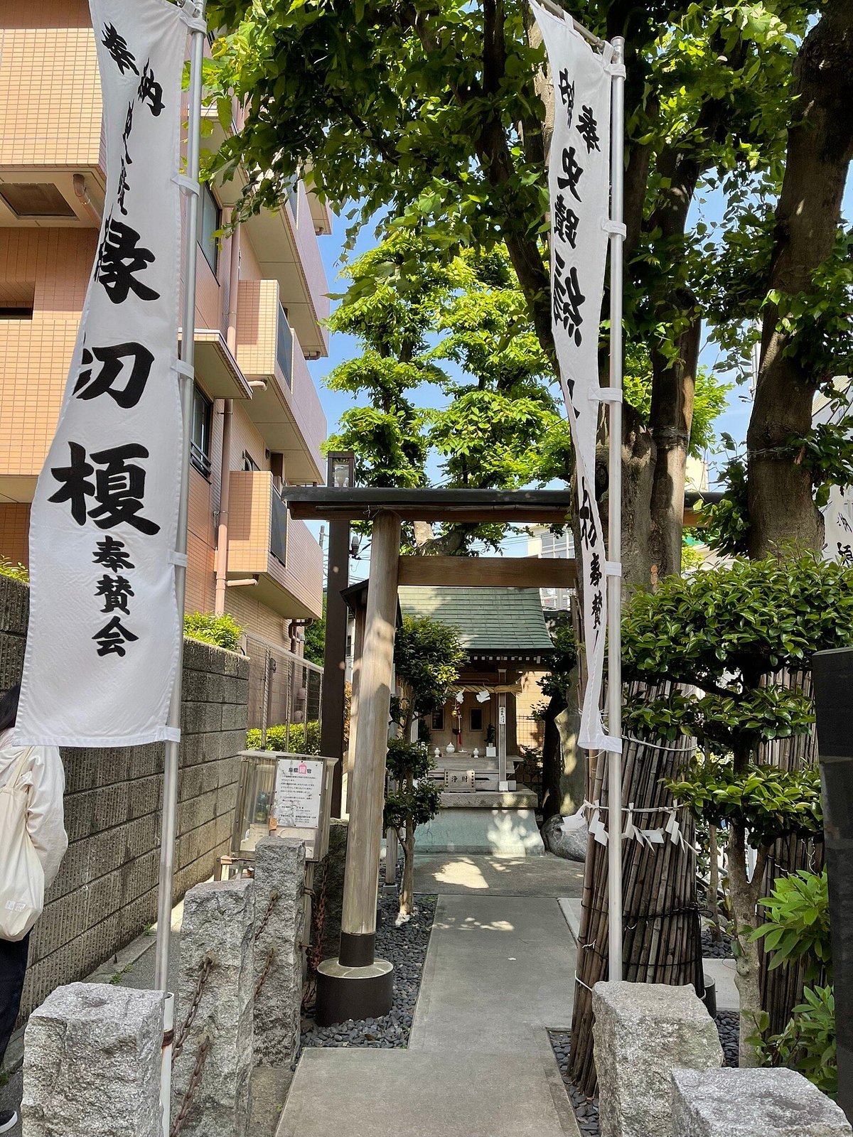 ⛩️ 인연 끊는 느티나무(엔키리 에노키) 이미지 4